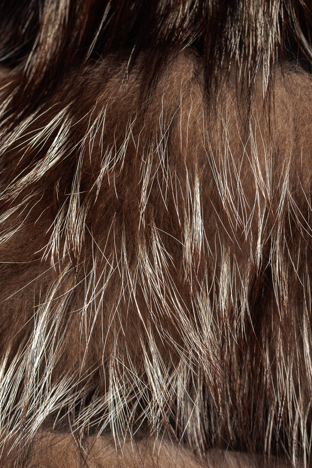 Cappottino in pelliccia di volpe argentata con manica a tre quarti