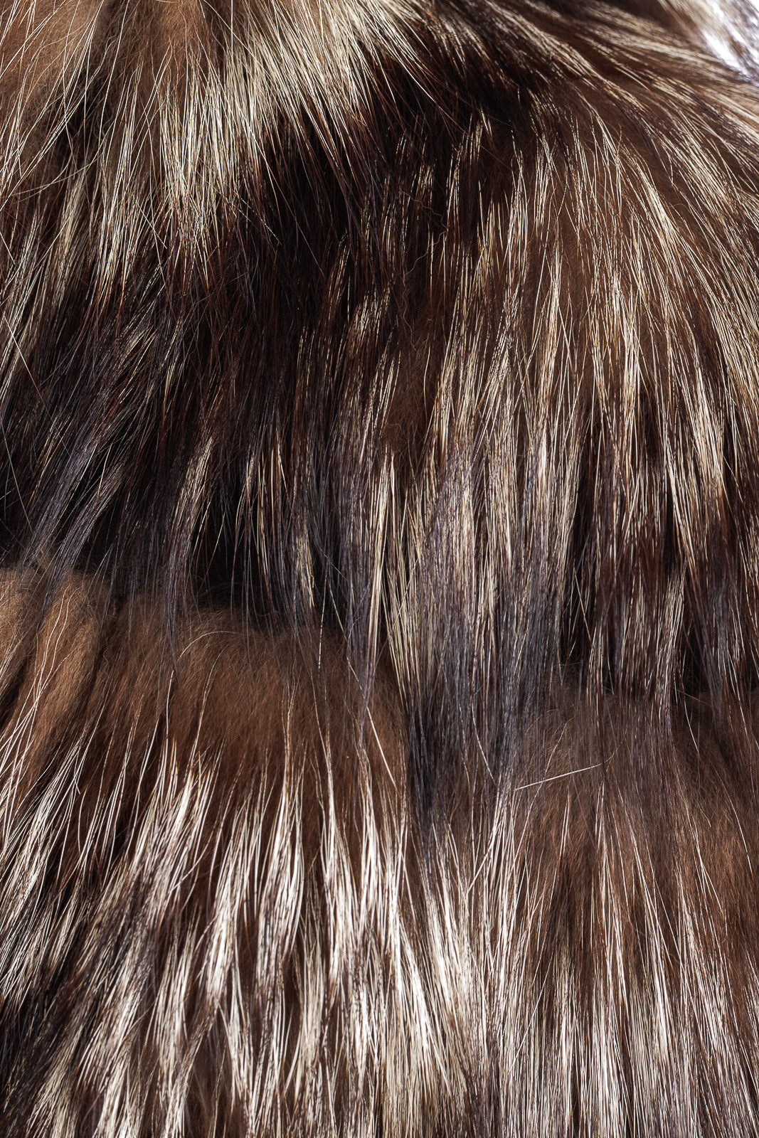 Giubbotto in pelliccia di volpe argentata con cappuccio e manica tre quarti